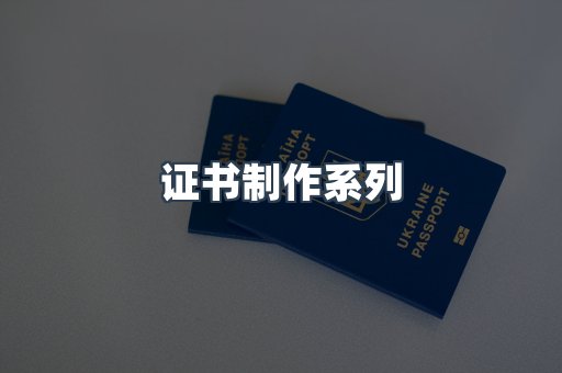仿制证件24小时