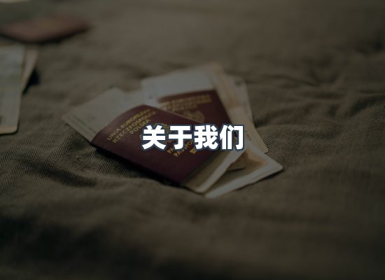 专业团队